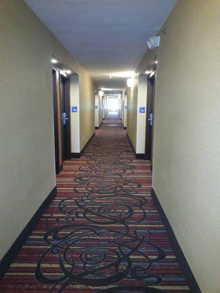 Holiday Inn Express Fredericksburg - Southpoint By Ihg Exteriér fotografie